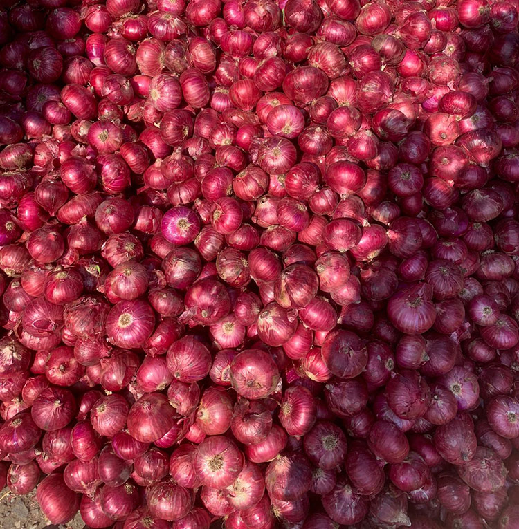 Bilna Trading Export & Import Bahrain