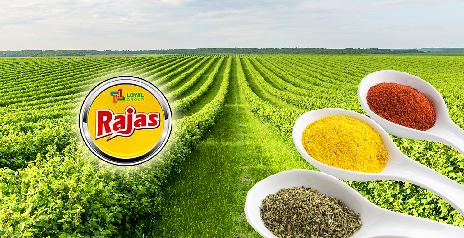 Rajas Wholesale Store